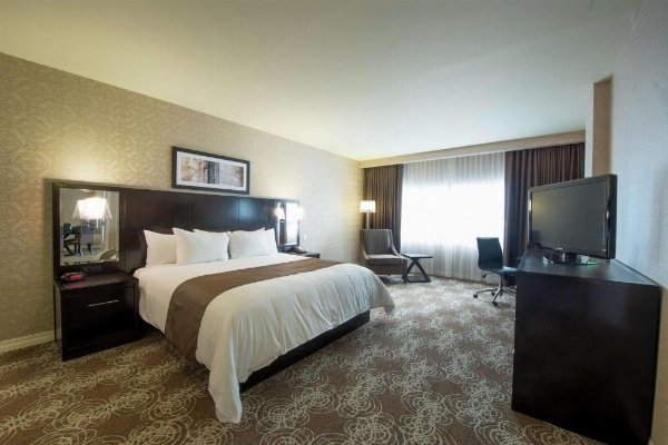 DoubleTree By Hilton Binghamton, NY image 9